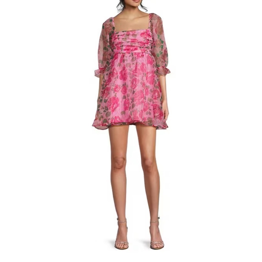 Pink and Floral Print 3/4 Sleeve Organza Mini Dress